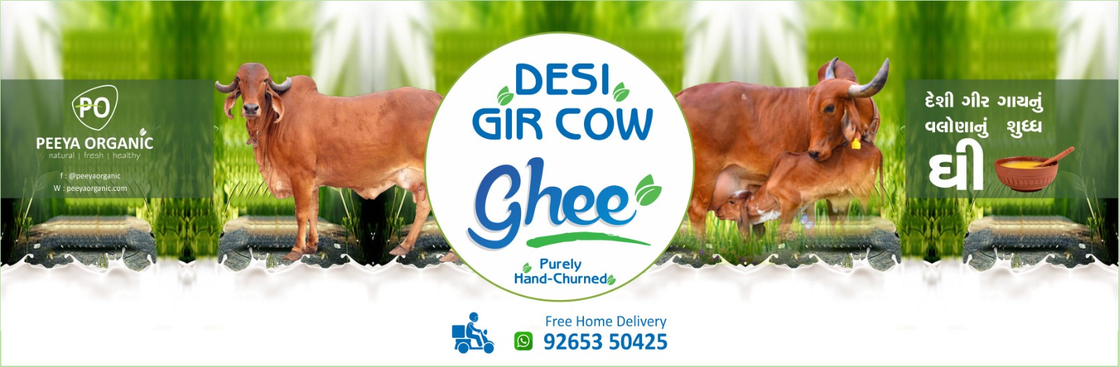 gir cow ghee