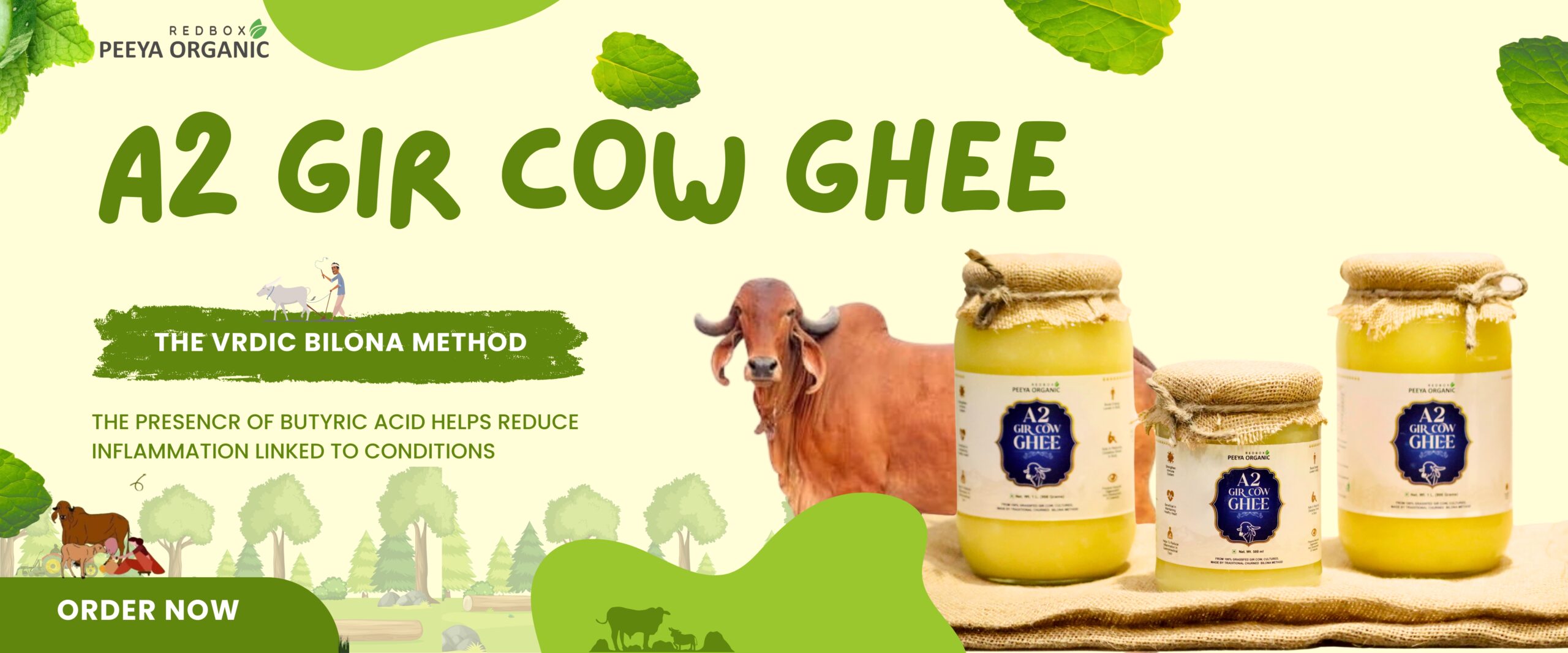 A2 gir cow ghee
